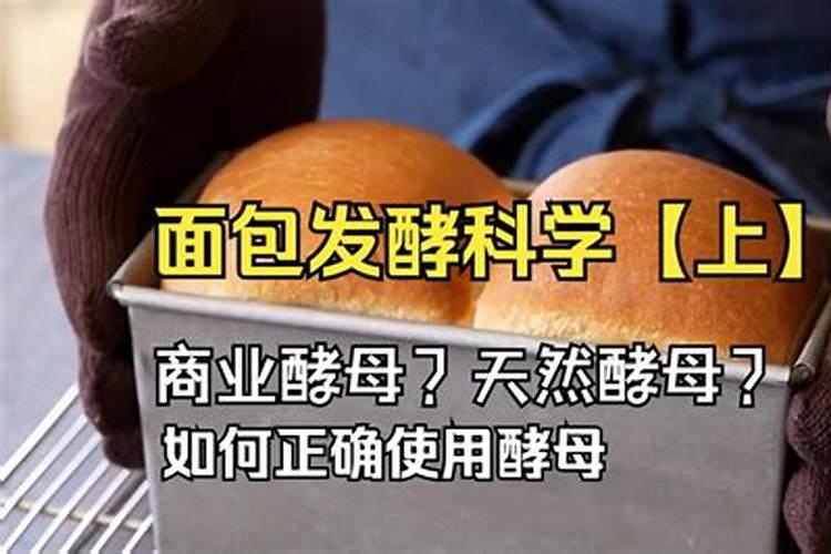 用什么菌种发酵鱼类下脚料