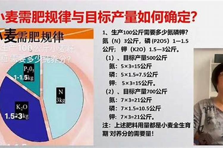 小麦需要的氮磷钾分别是多少