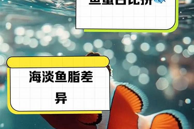 淡水小杂鱼和海鱼粉哪个好？