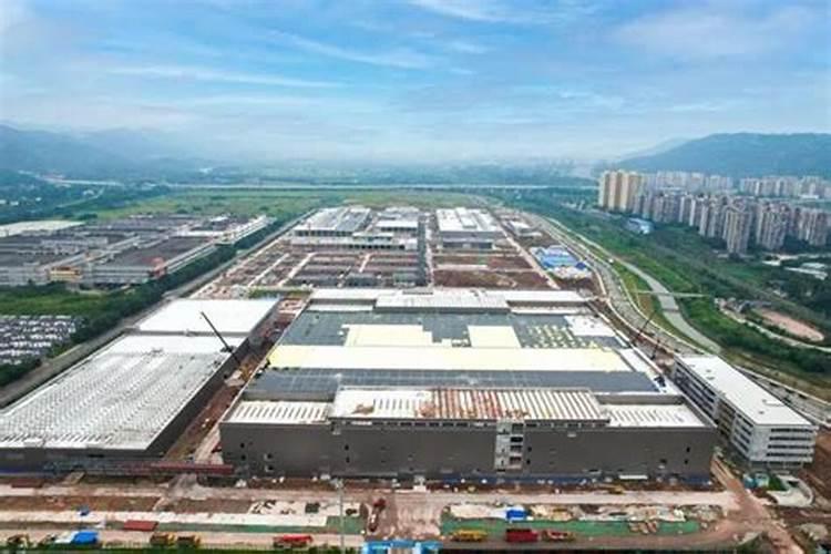 硅谷肥都有什么含量？