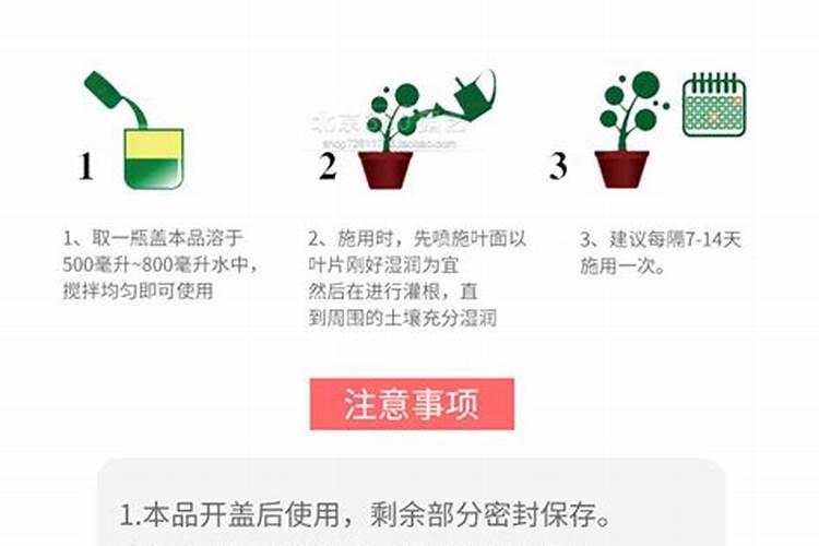 花卉施肥后需要立刻浇水吗