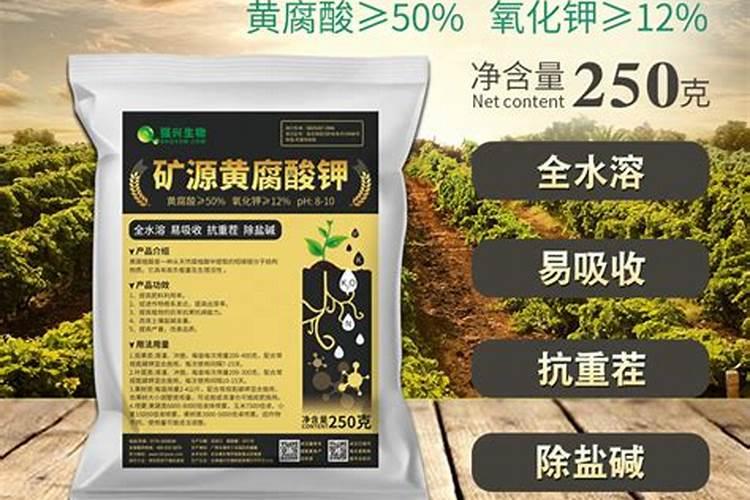 水溶肥十大名牌