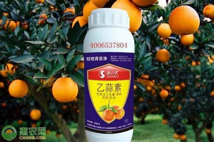柑橘果实成熟期喷施乙蒜素应注意的问题