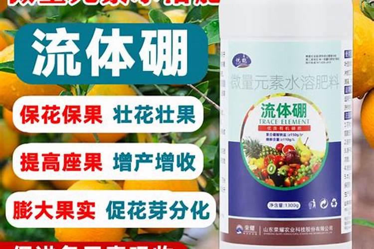 钾肥和硼肥哪个膨大块根效果明显