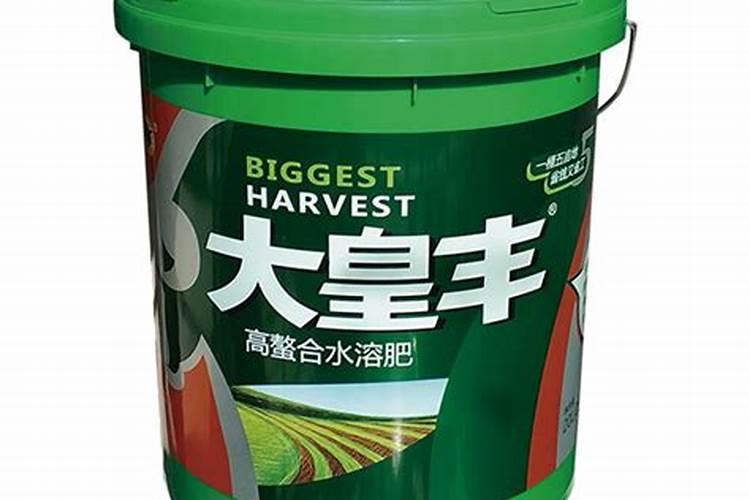 鸿运当头多久浇一次水 浇水的时候有什么讲究吗