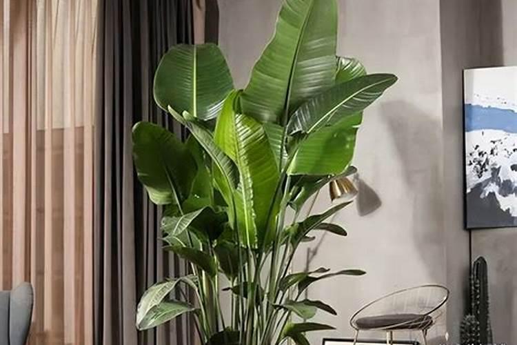 养花多久施一次肥？