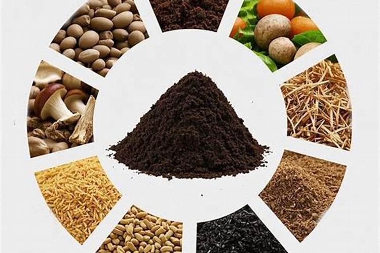 树叶落下来该怎么处理？处理后能有什么收益,有何作用