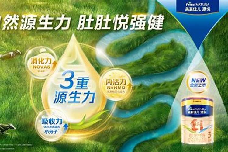 别错过!驼奶的高端营养价值值得了解