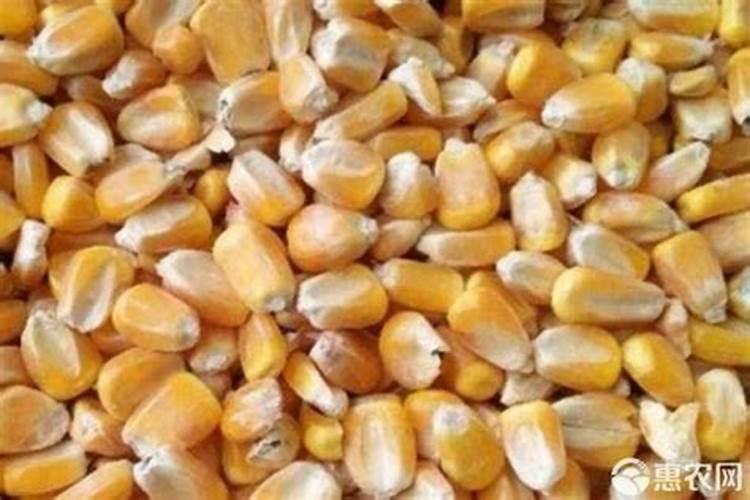 红四方玉米专用复合肥多少钱一吨？