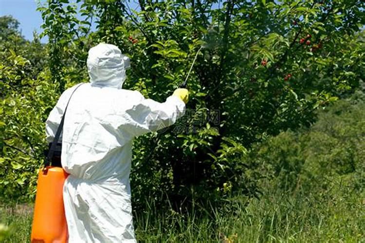 豆角打了除草剂在打杀菌药可以吗