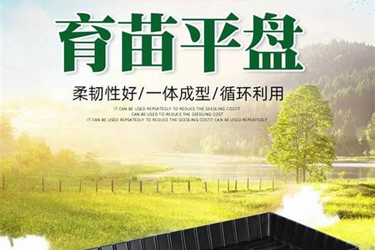 怎么给育苗盘里的苗子施肥 用什么肥料 怎么施肥 ？