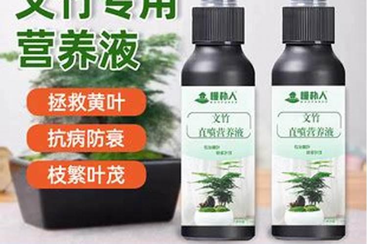 发财树喷什么肥料好