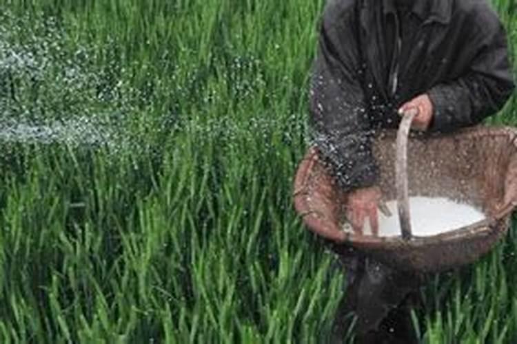 山东海化生产什么