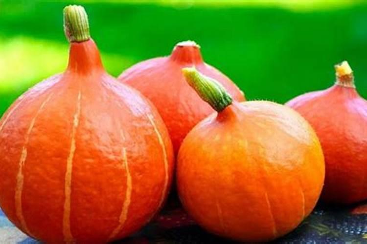 南瓜需要施什么肥料(一般种植南瓜什么时候施肥方法)