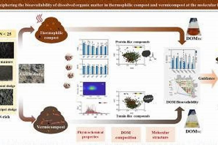 土壤有机质:土壤健康的 “隐形密码”