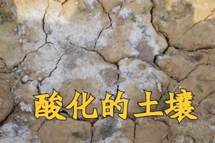 生活里一定要知道的盐的十二种妙用