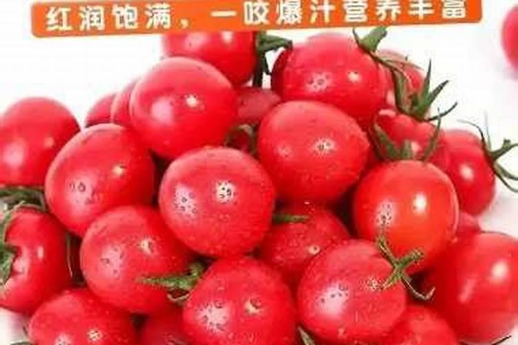 千禧小番茄与日常食用大番茄的营养价值有什么区别？