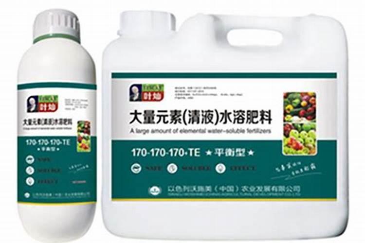 平衡肥膨果快还是高钾肥快