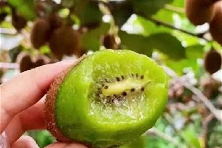 ...望了叫什么名字了 里面有个叫先锋1号的机器人