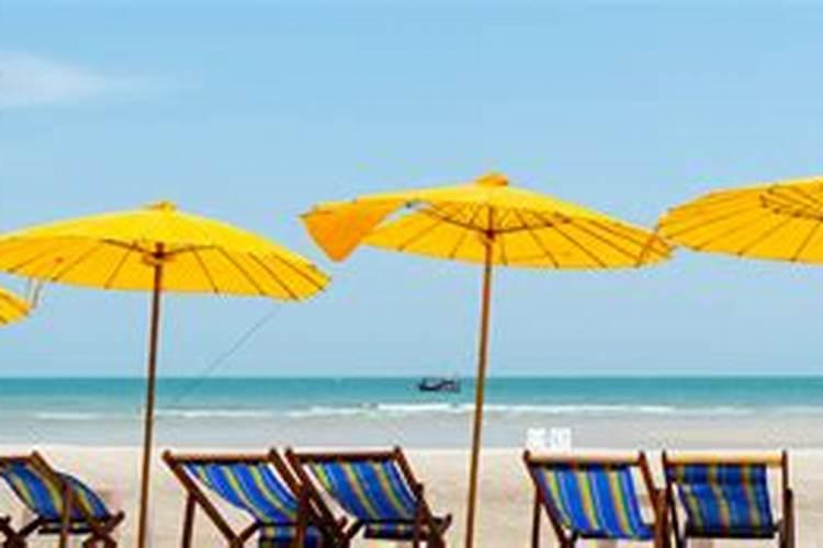 巨丰葡萄用什么样的肥料红的快些呢