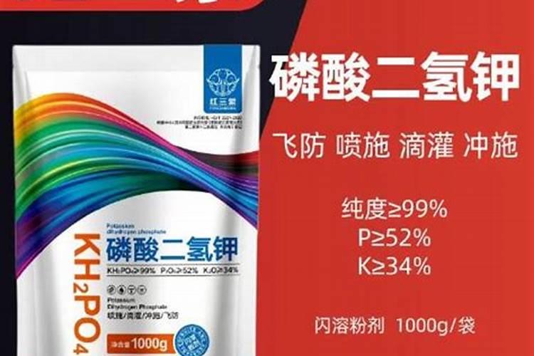 燕麦草刚出苗用什么叶面肥能分蘖磷酸二氢钾积硫酸铵喷施小麦好吧？