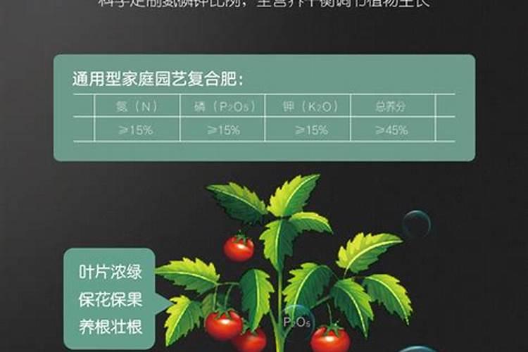 发财树浇什么肥料合适