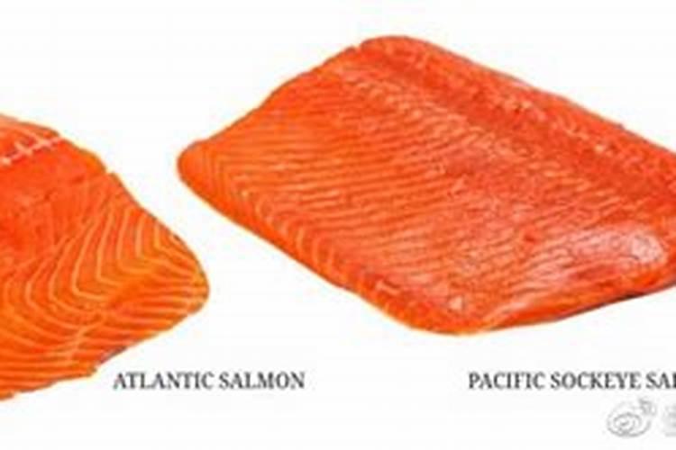 鲫鱼肚子里的鱼籽怎么是绿色的,能吃吗？