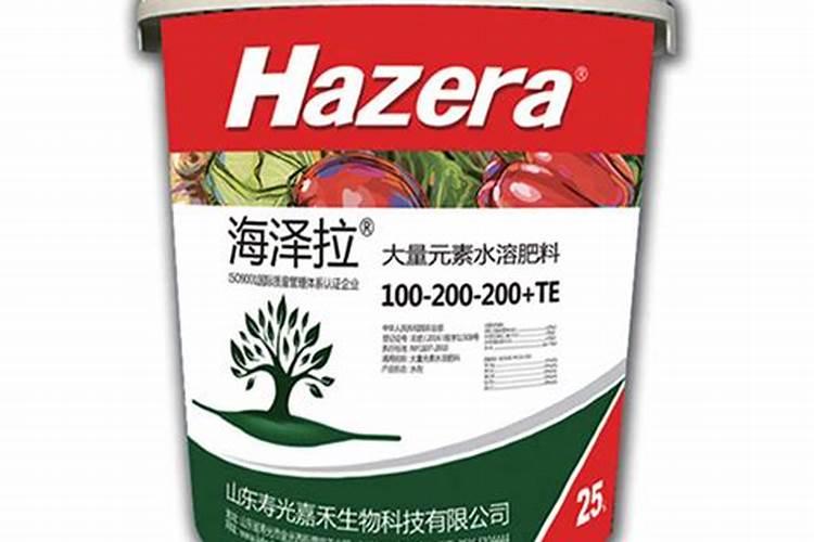 玉米什么时候喷施叶面肥