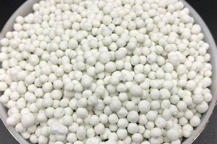 水溶肥果树灌根正确方法