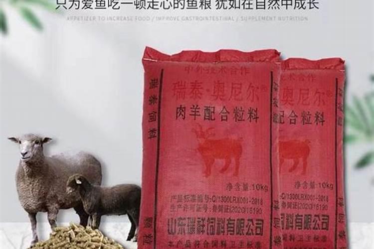 在农村2亩地种什么？轻松年入5W+