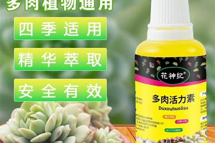 多肉植物要选择控释肥还是缓释肥