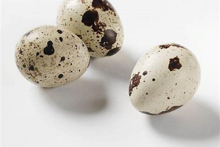 网上卖几十块钱的氮磷钾肥料,自己在家制作,不要钱就能搞定