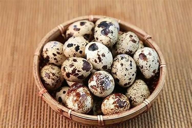 鸡蛋壳怎么做肥料