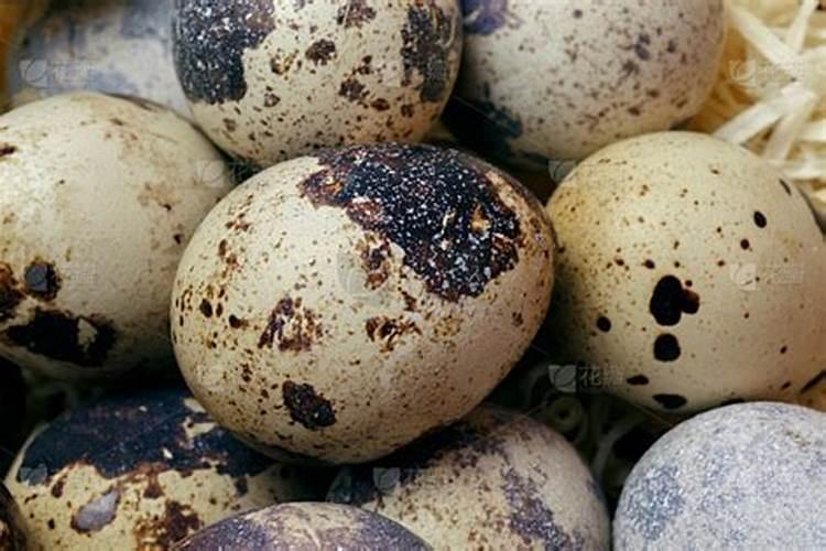 这些民间偏方所向披靡而且旺财不花一分钱!