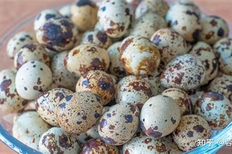 种植菊花用什么肥料？