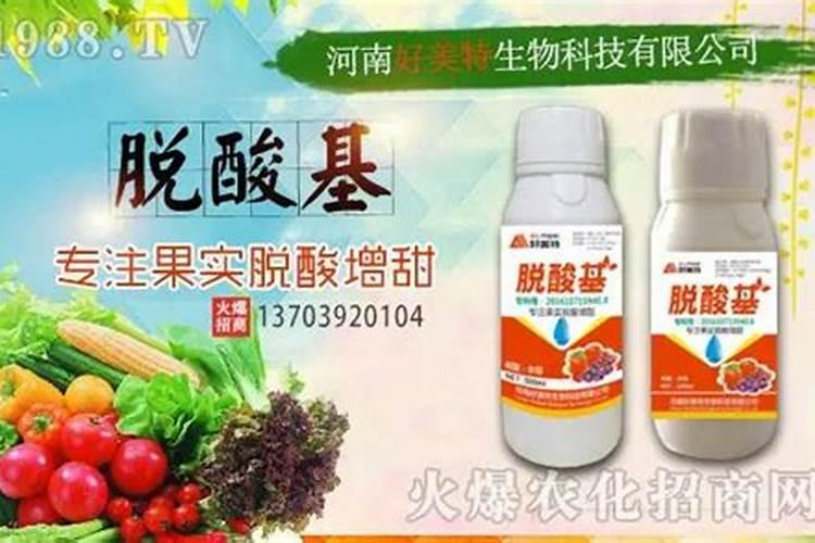 柑橘增糖退酸方法