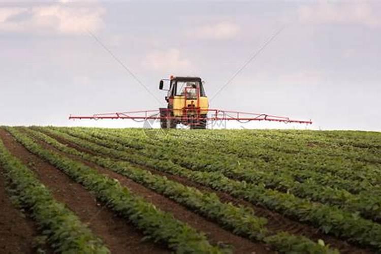 大豆微量元素水溶肥的作用