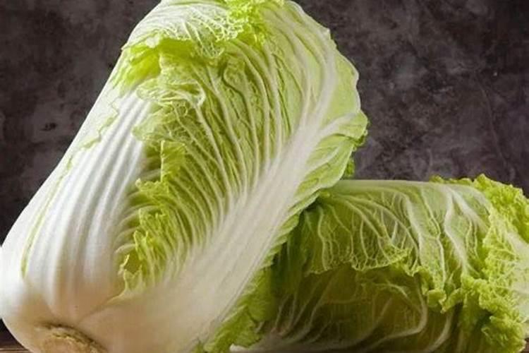 氮肥适合哪些蔬菜.