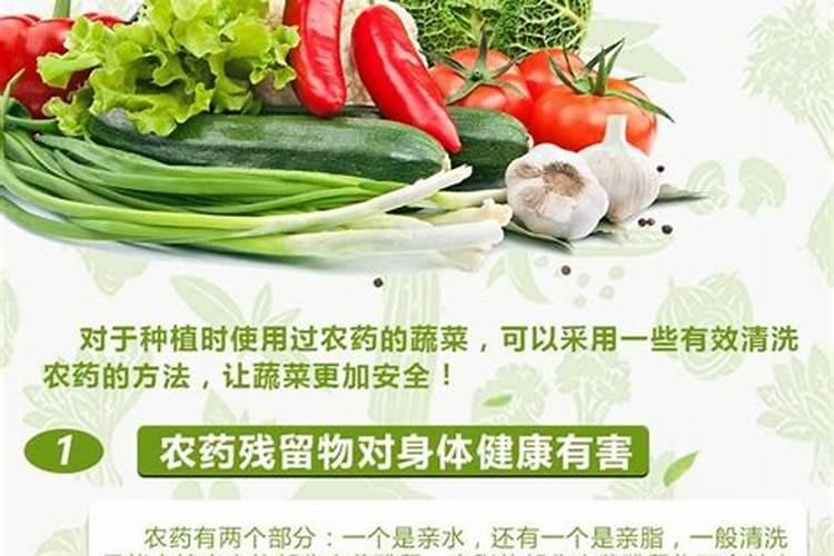 种青菜用什么肥料好