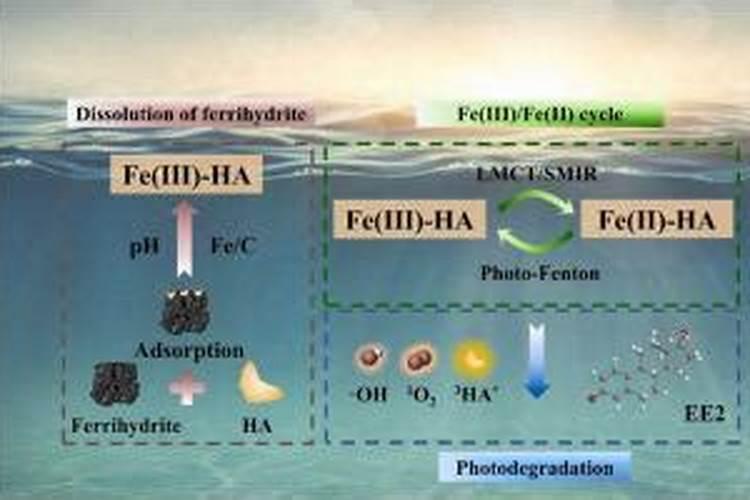 水体中的腐殖酸怎么去除