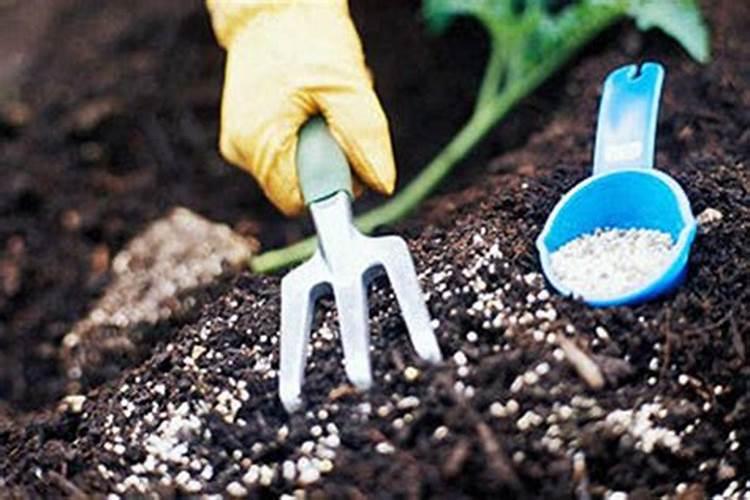 施肥注意事项有哪些？