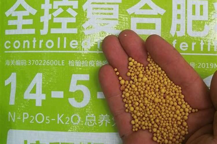 控释肥是什么肥料