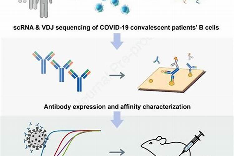 苹果树花叶病病毒病怎么治？