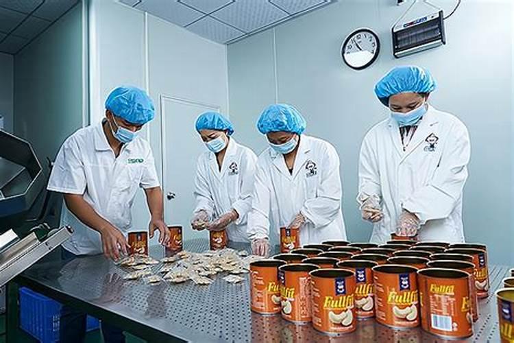 河北永年葡萄出土时间