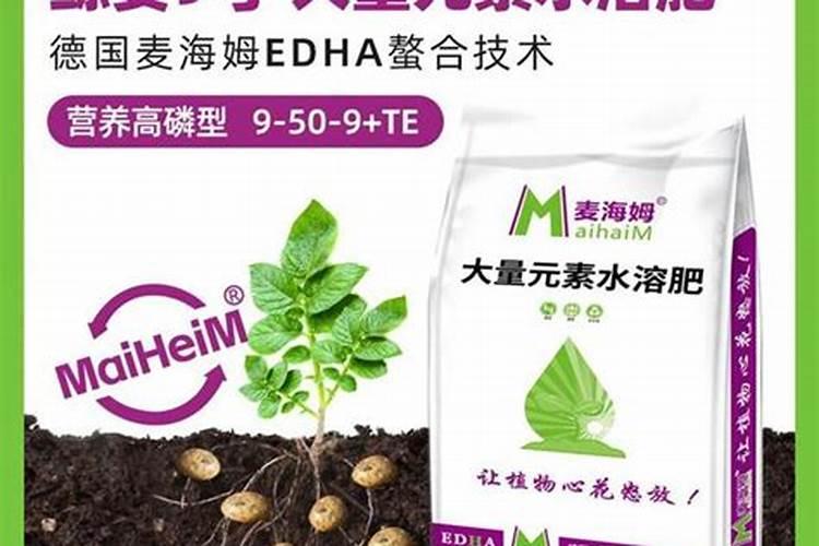 马铃薯如何施肥更科学？