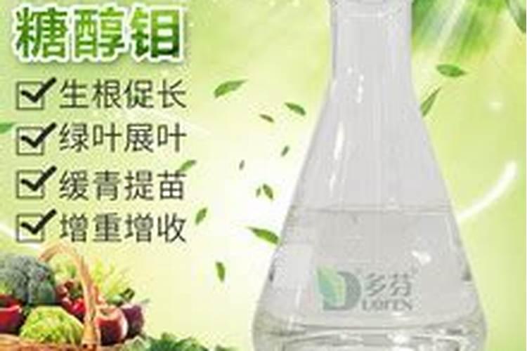 进口十大水溶肥品牌