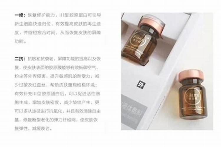 如何养好一棵月季小苗按照这6点做