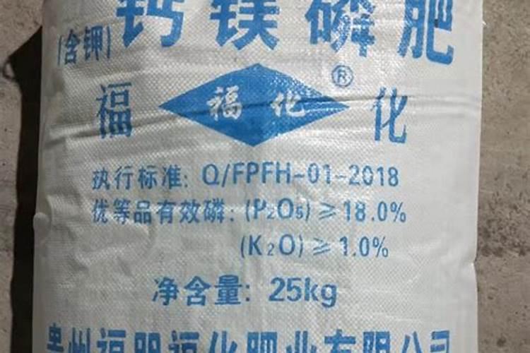 沉香苗多少钱一颗？沉香树树苗价格行情