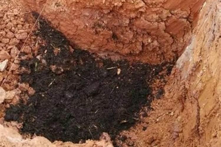 如何提高氮肥磷肥钾肥的利用率 提高氮肥磷肥钾肥的利用率方法