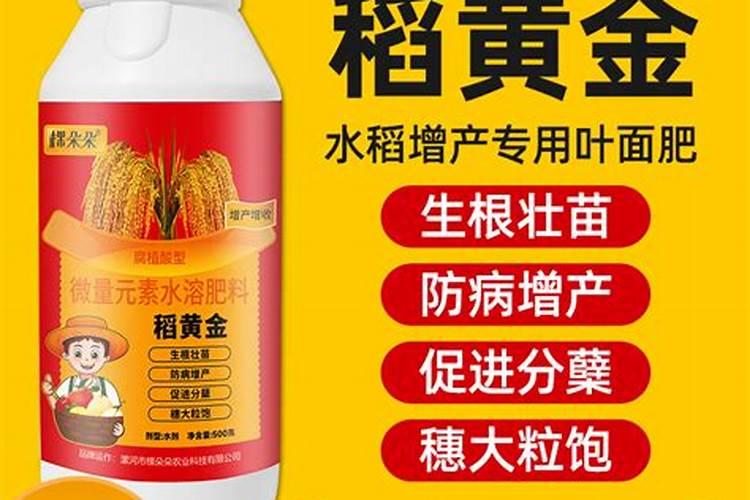 水稻杨花期能喷施叶面肥吗